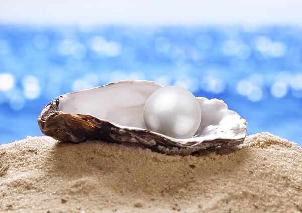 We’re Excited to Announce: The Pearls of Wisdom